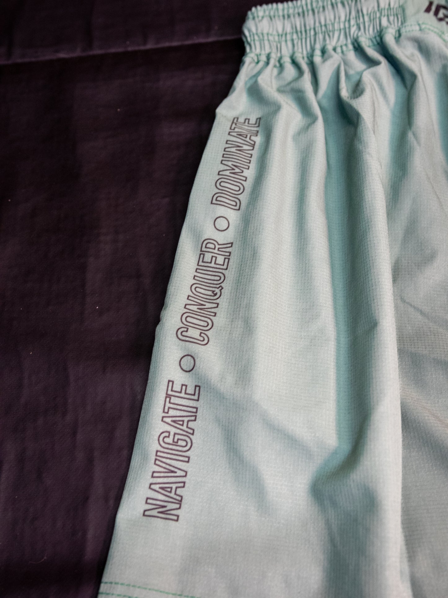 [EC03] Sage Training Shorts