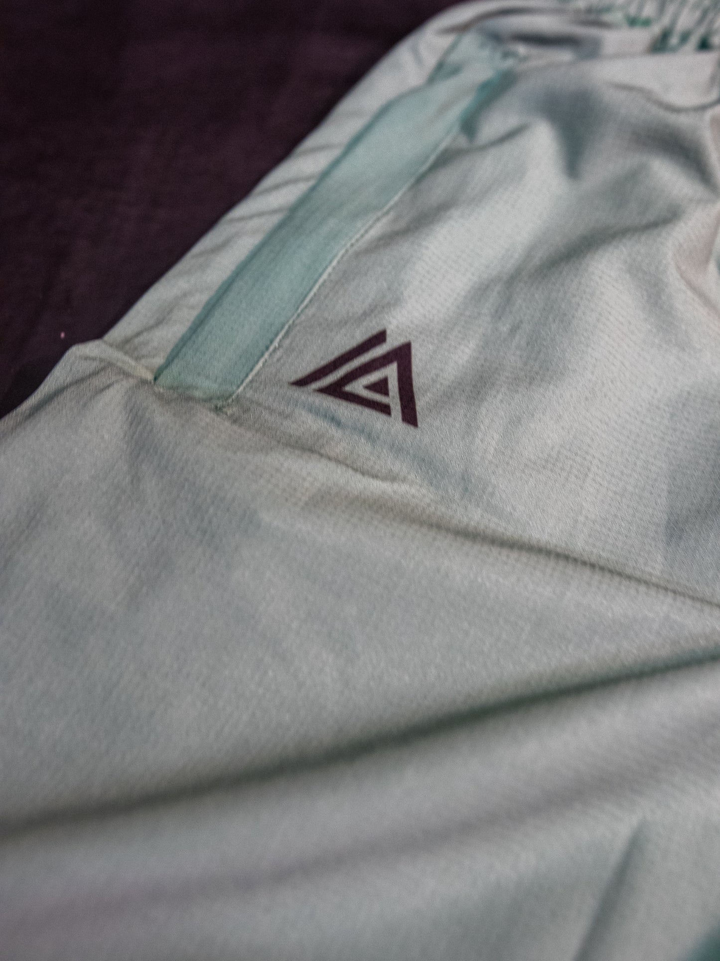 [EC03] Sage Training Shorts