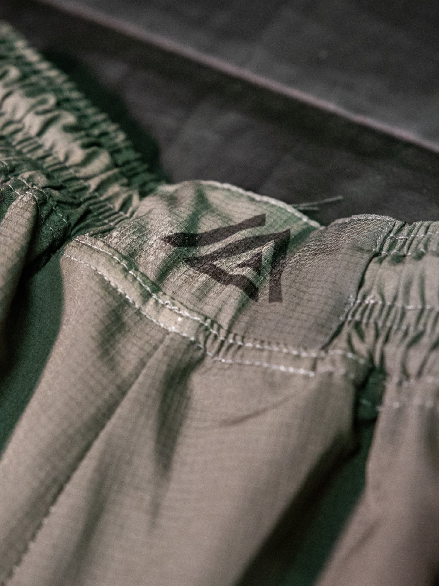 [EC03] Ash Training Shorts