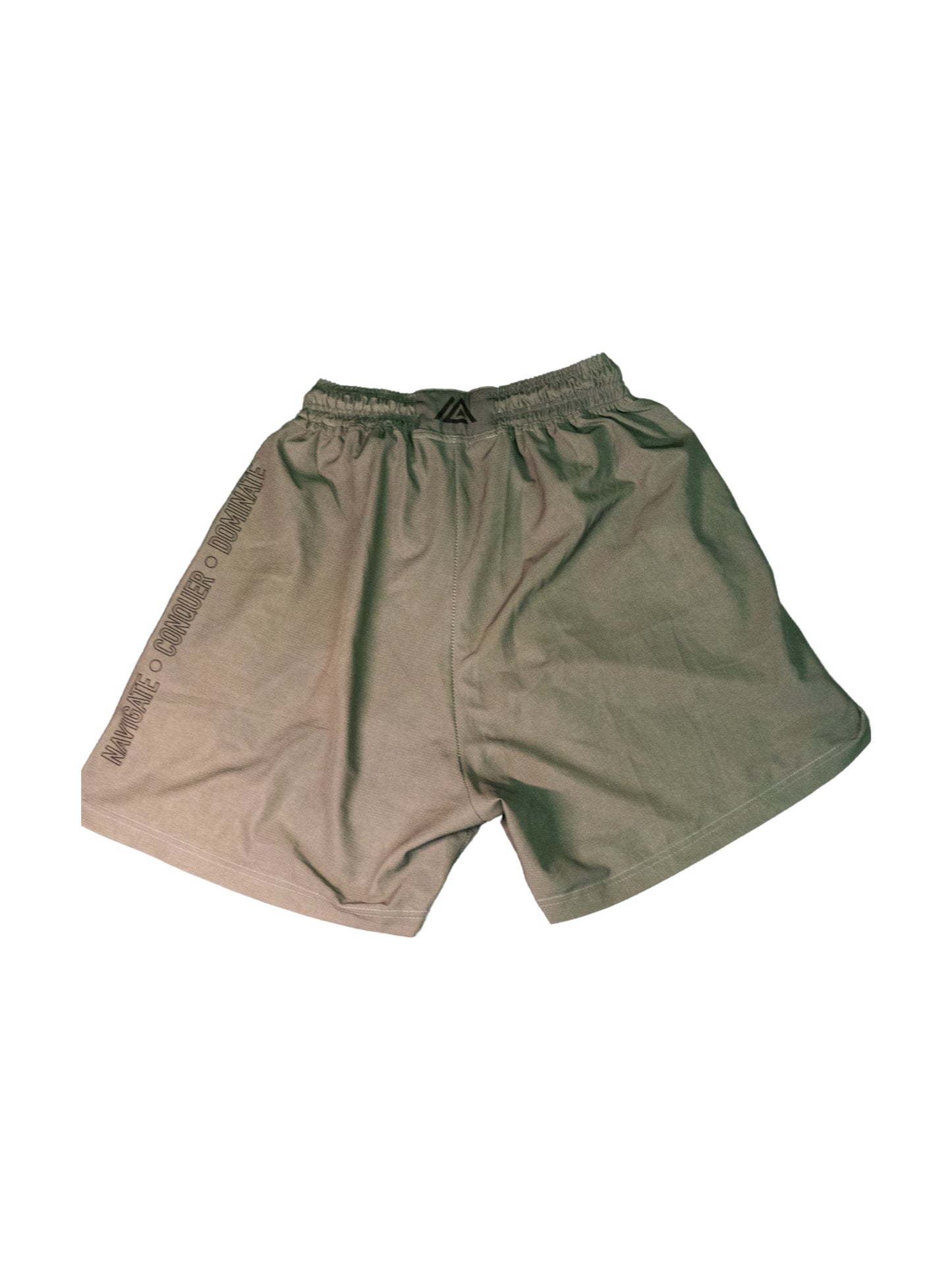 [EC03] Ash Training Shorts