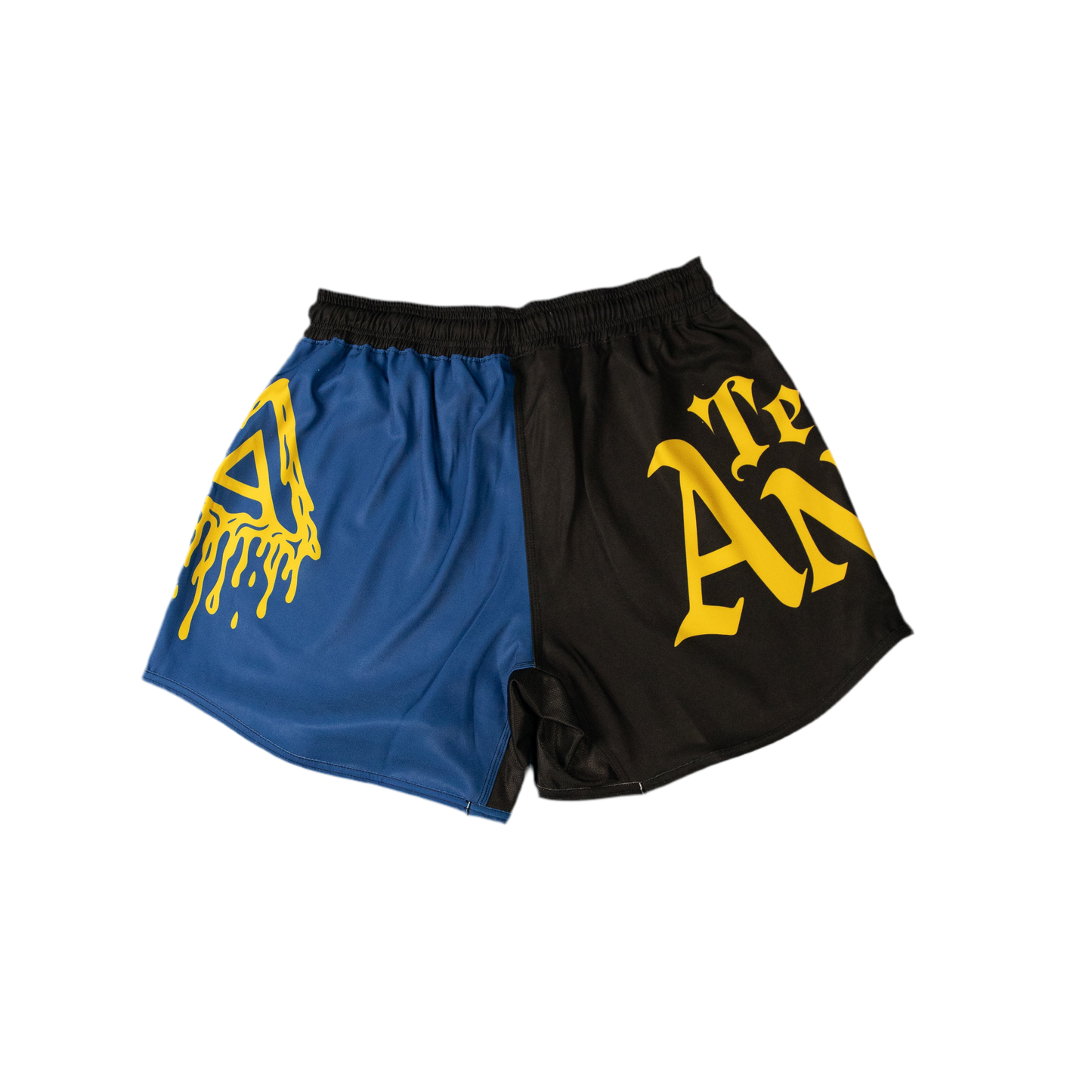 LGR1 “Sapphire” Performance Shorts (PRE-ORDER)